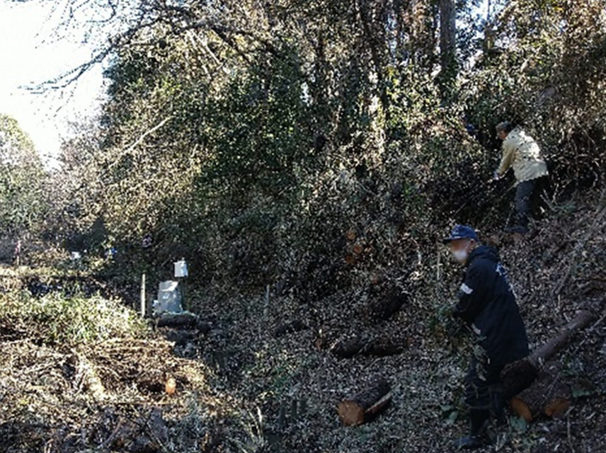 Photo: Maintenance of slope forests in Satoyama