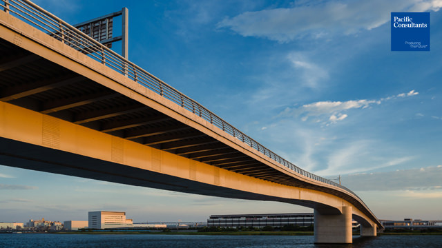 Tamagawa Sky Bridge
