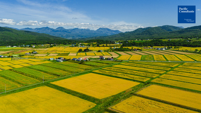 Rankoshi Town
