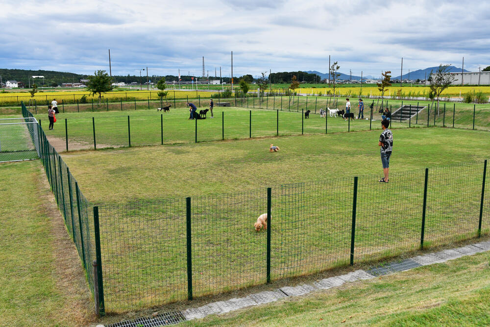 Photo: Dog run