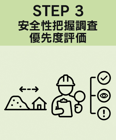 3. Prioritization of safety assessment surveys
