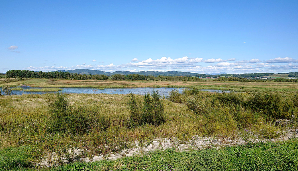 写真：北海道の舞鶴遊水地