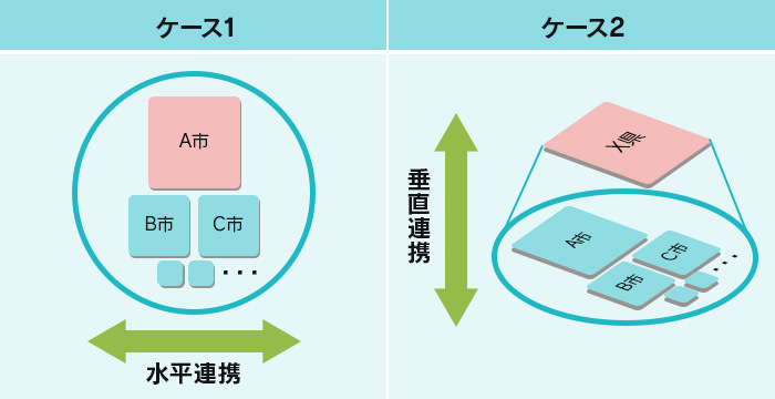 There are two types of "bundles of local governments"