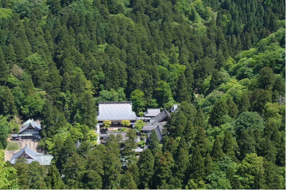 The temple complex of Eiheiji is surrounded by a vast forest.