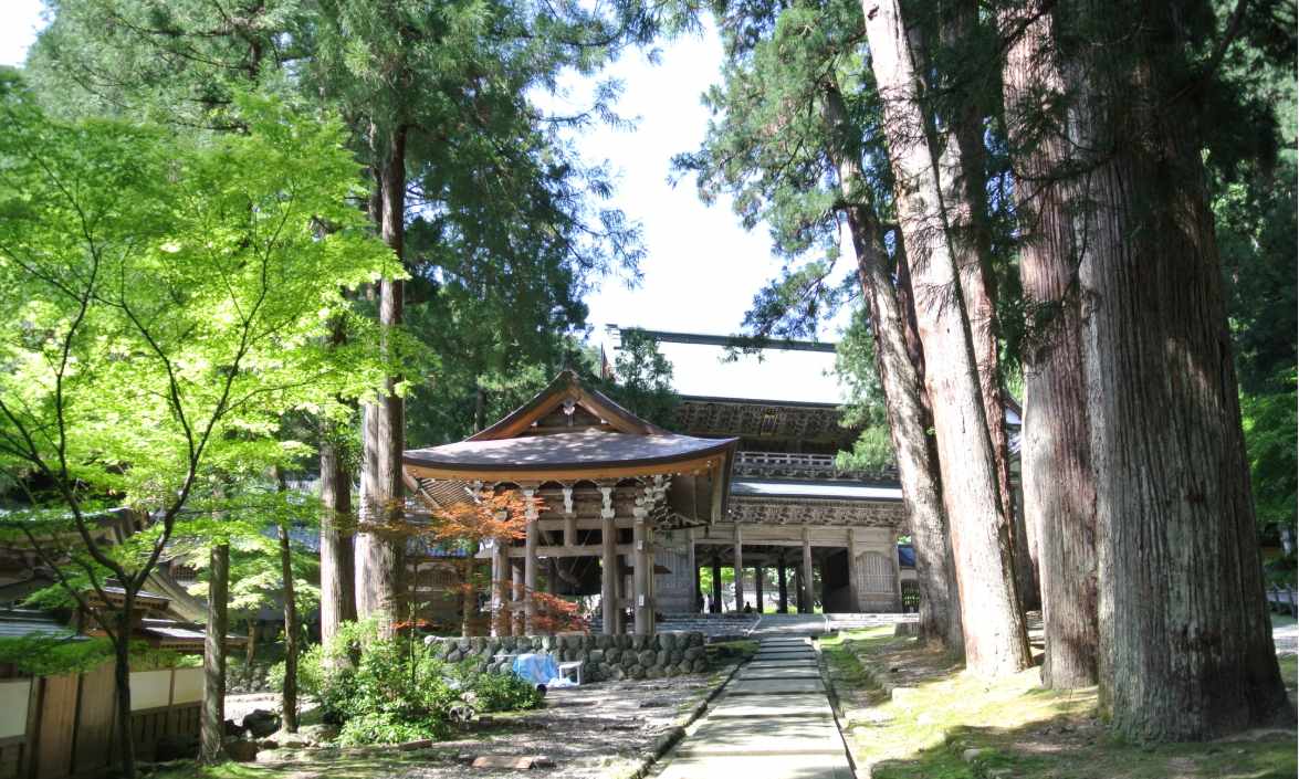 Eiheiji Temple Gate and the Five-Generation Cedar Tree