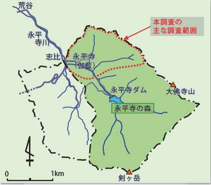 Main survey area of the Eiheiji forest