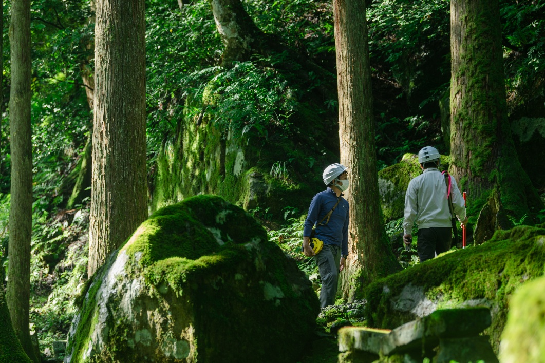 While walking through the forest, we examine the realities of the environment.