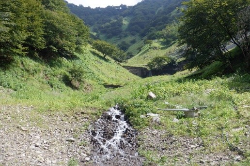 Matsuki area (within the summer site)