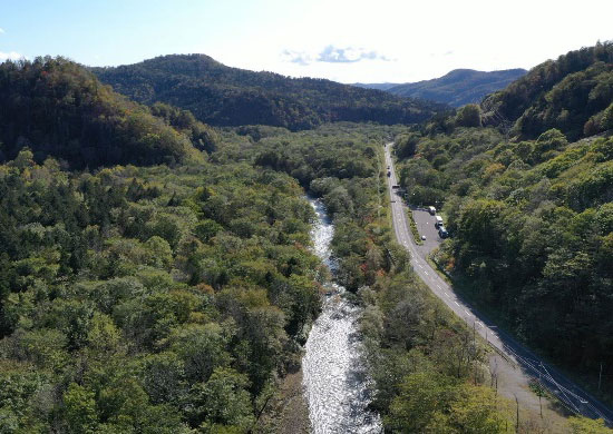 Pirikaneppu Forest (the forest on the left side of the river)