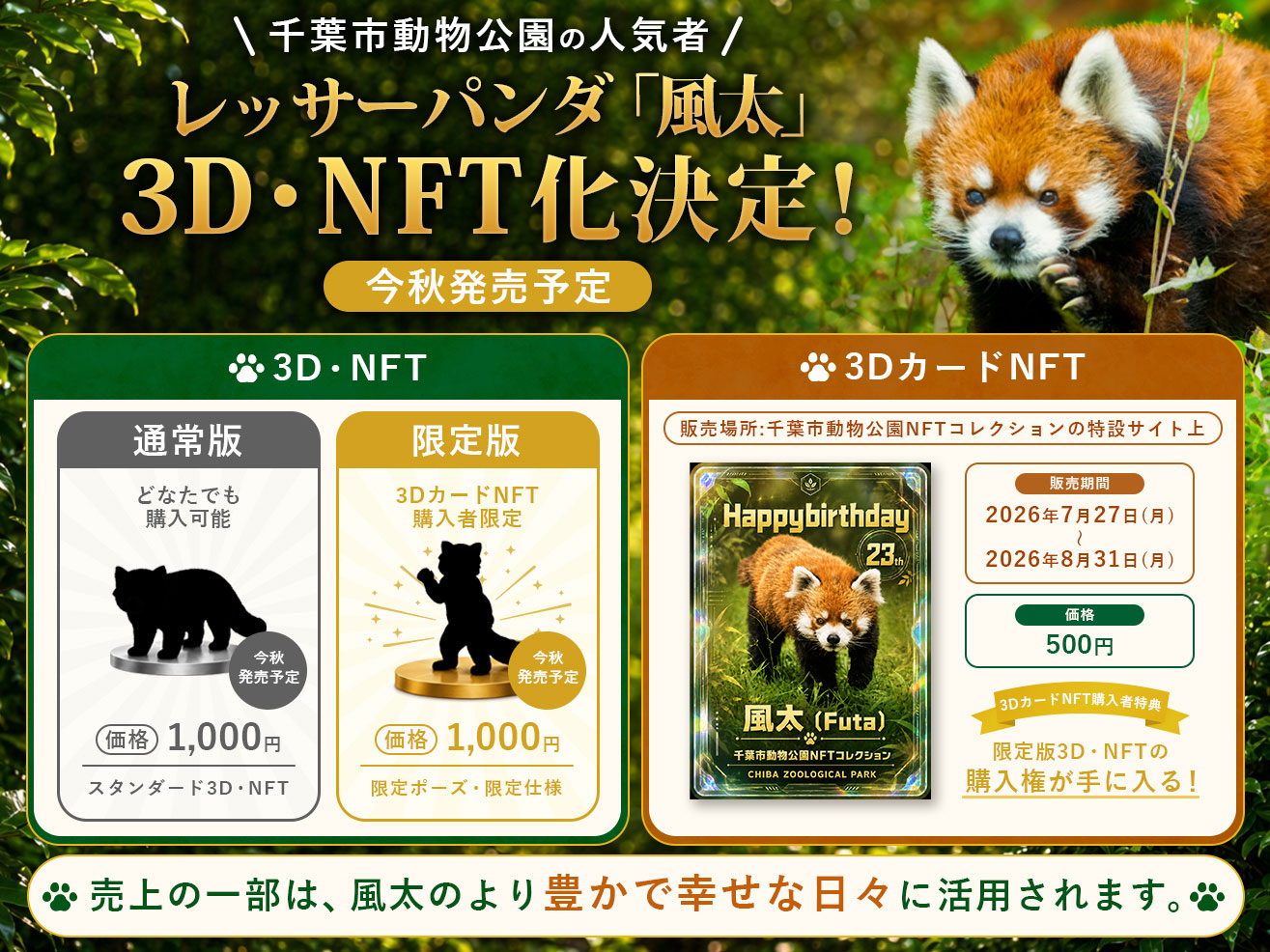 Red panda "Futa" to be made into a 3D NFT!