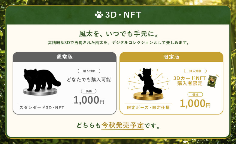 Images of 3D and NFTs planned for sale.