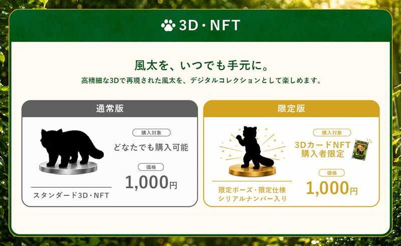 Futa's 3D NFT