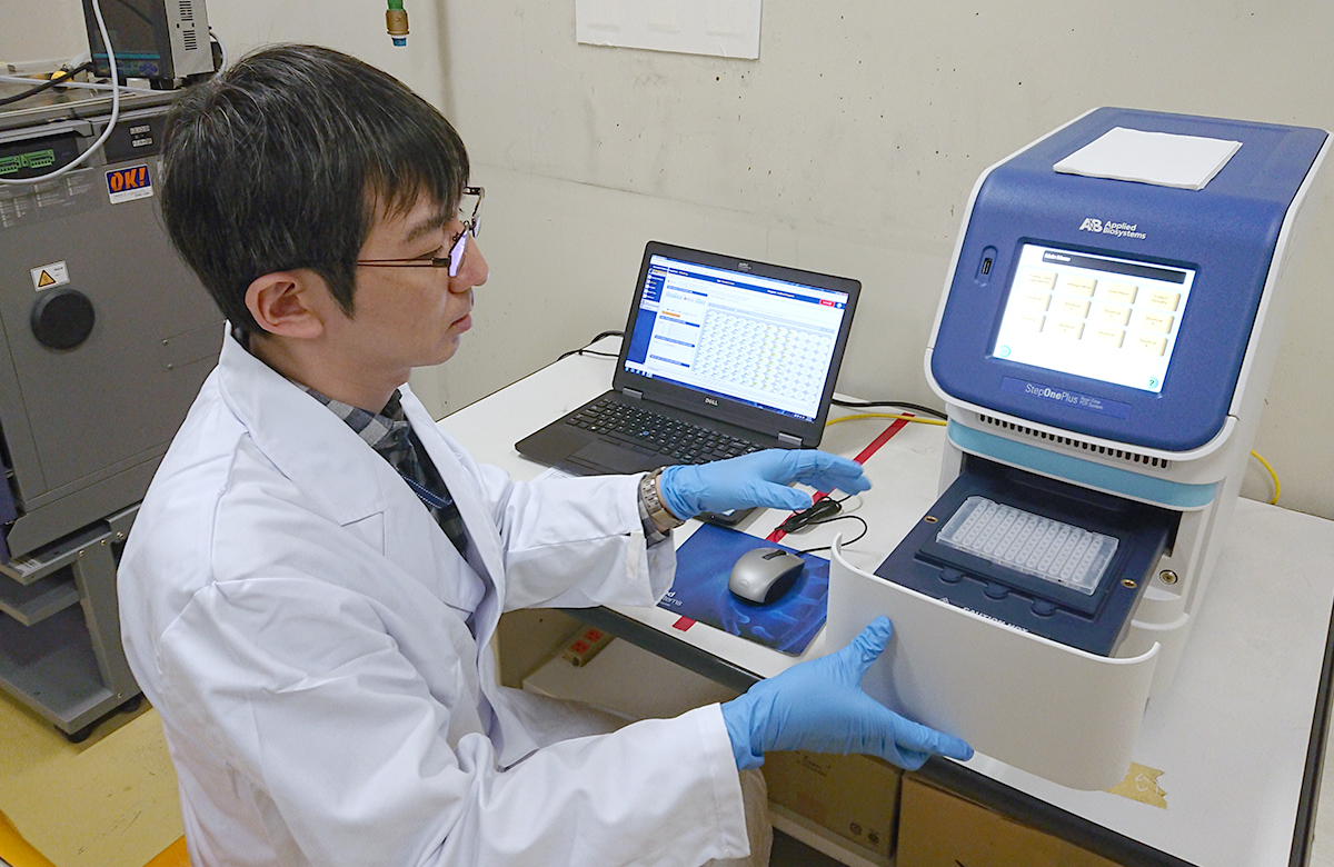 Environmental DNA PCR Analysis