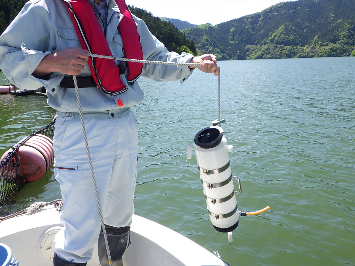 On-site water sampling using a water sampler